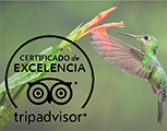 TripAdvisor