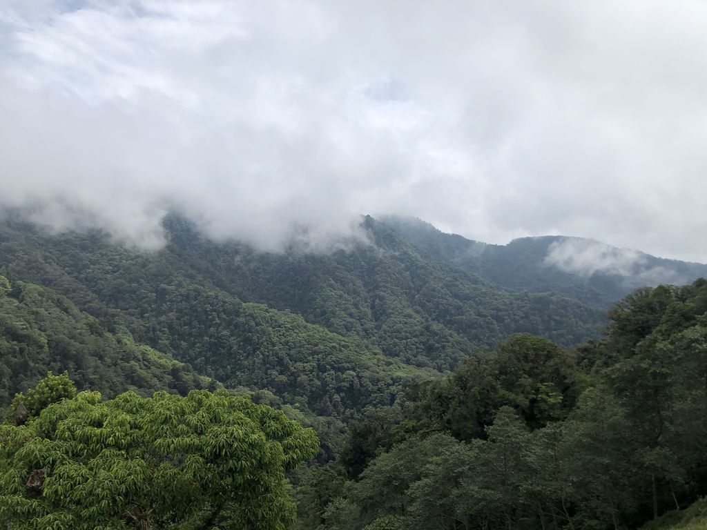 Bosque de Paz Nuboso Costa Rica